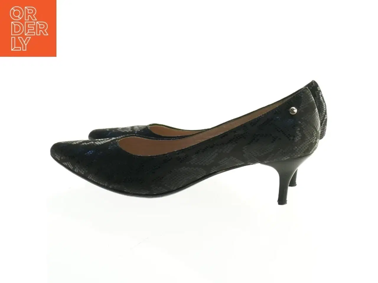 Billede 1 - Pumps med slangeskindsmønster fra paola parma (str. 39)