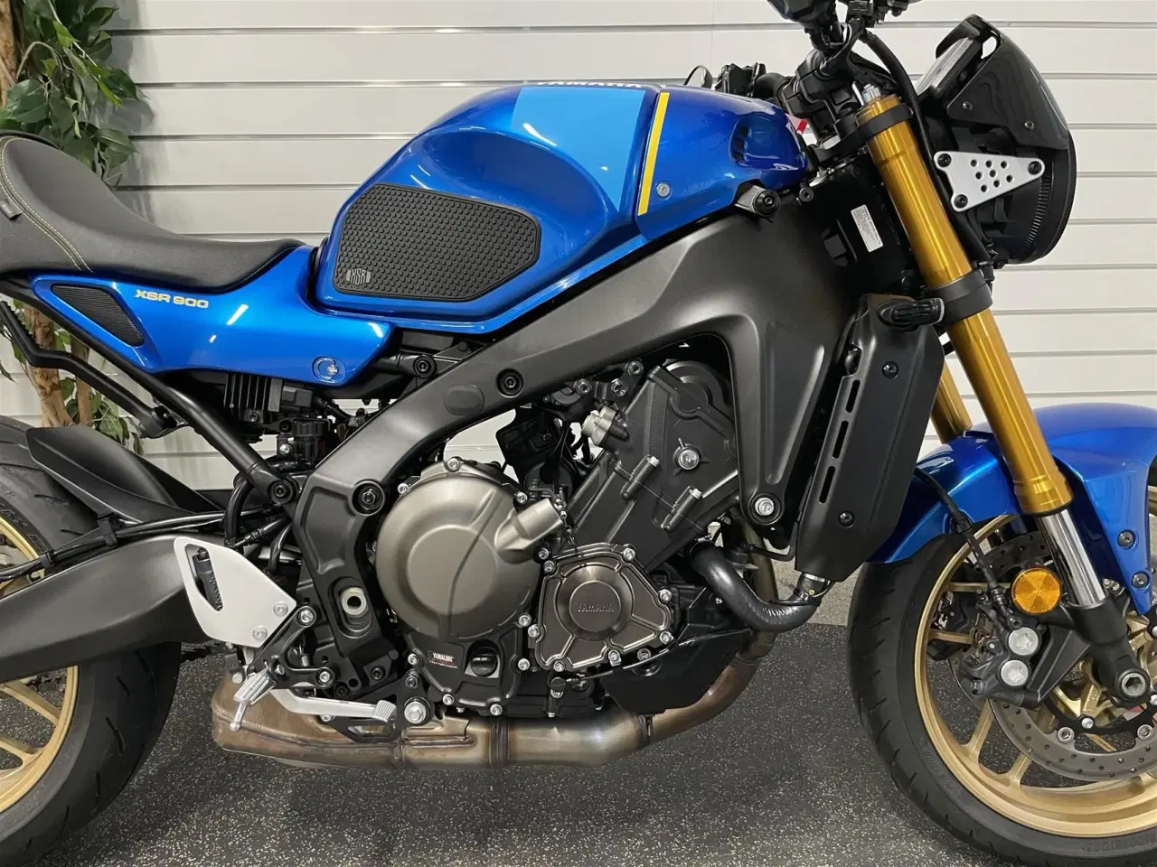 Billede 4 - Yamaha XSR 900 ABS