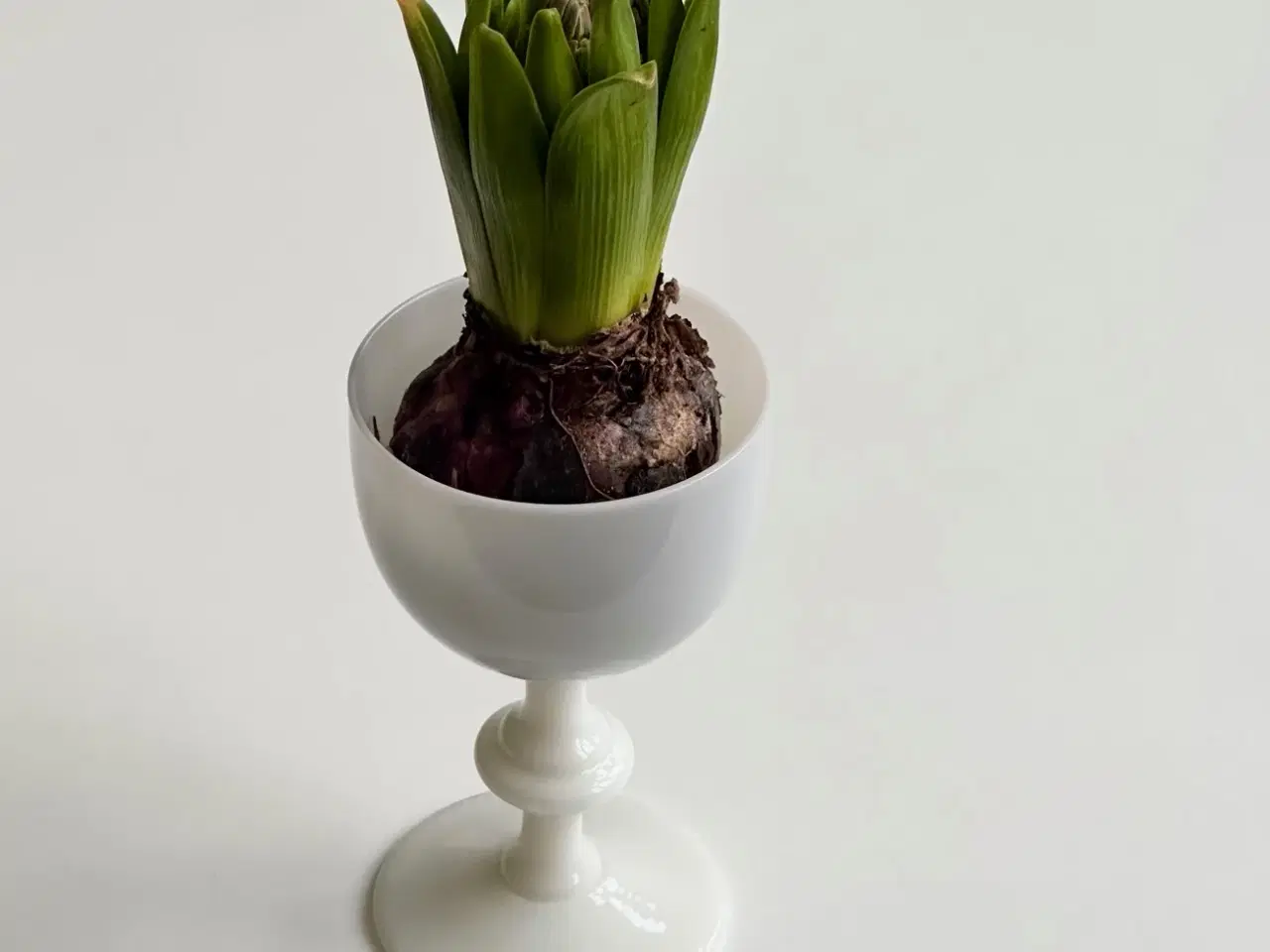 Billede 1 - Vinglas, hvid opalineglas