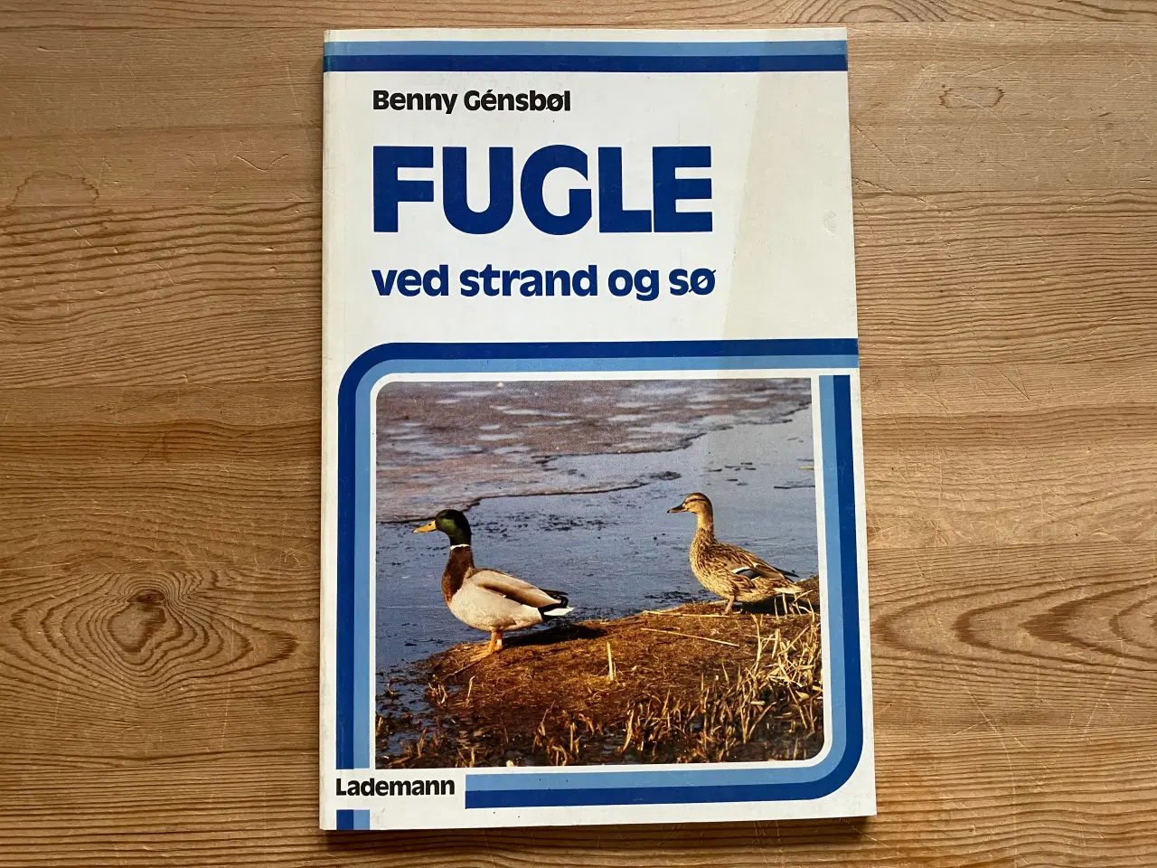 Billede 2 - Fugle i haven og fugle ved strand og sø