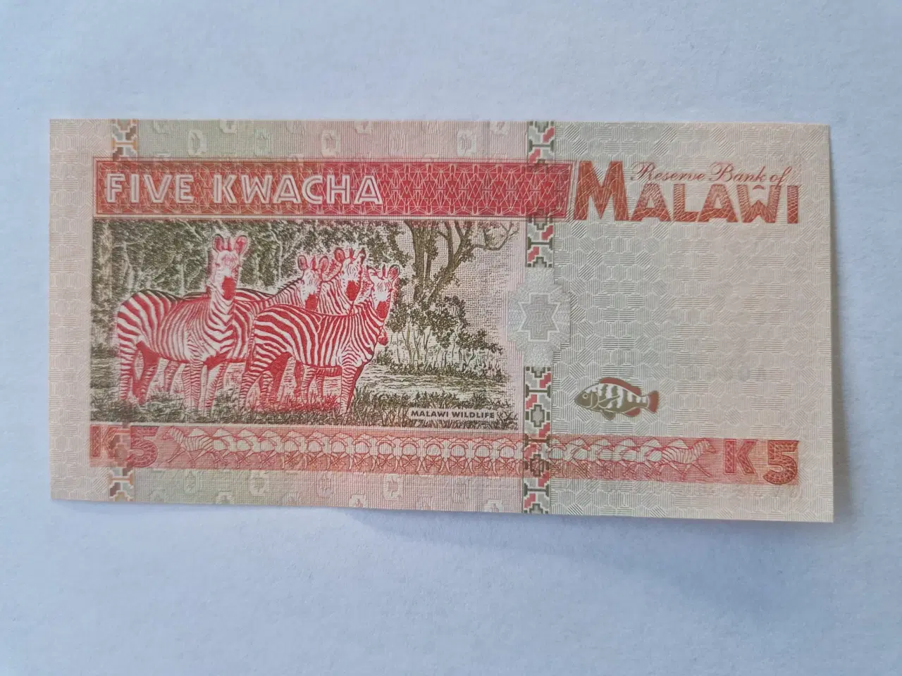 Billede 2 - Five Kwacha Malawi