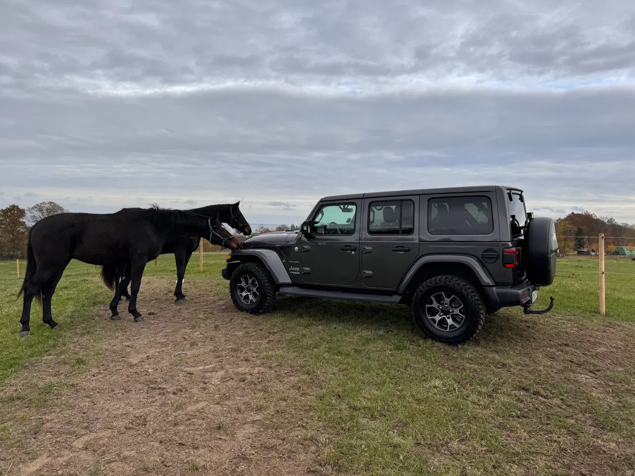 Billede 8 - Jeep Wrangler Sahara 2.0 T-GDi Aut 4X4 Fuld Afgift