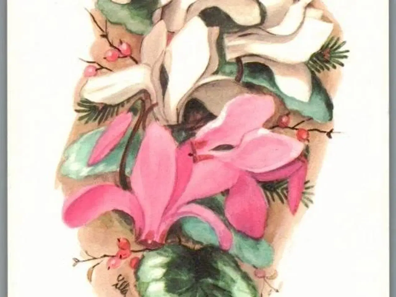 Billede 1 - Illa - Stender Eneret - 5109/212 - Postkort - Ubrugt