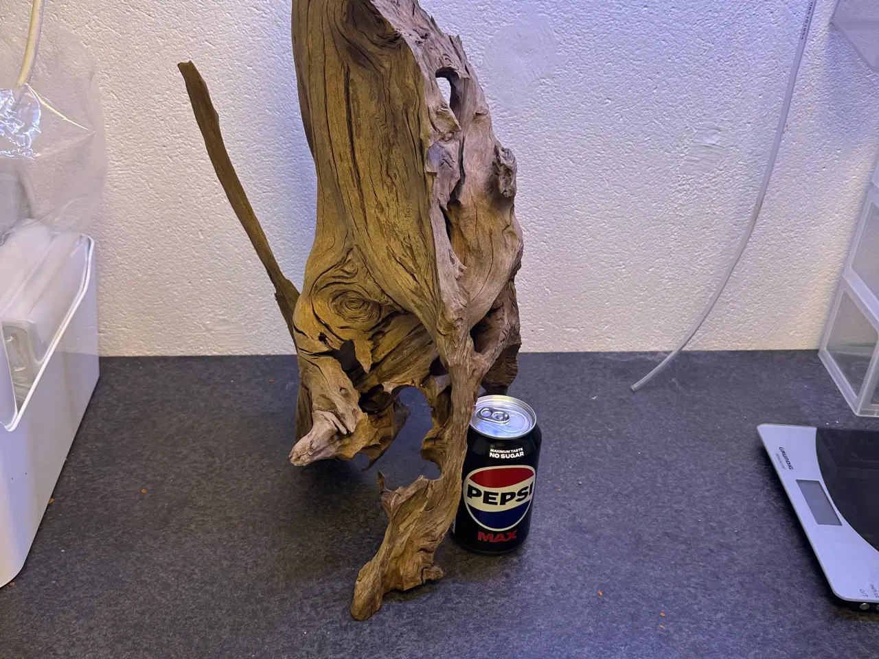 Billede 3 - Trærødder