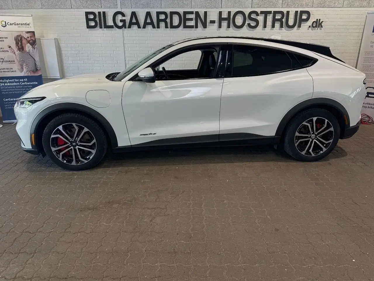 Billede 3 - Ford Mustang Mach-E 75 Standard Range