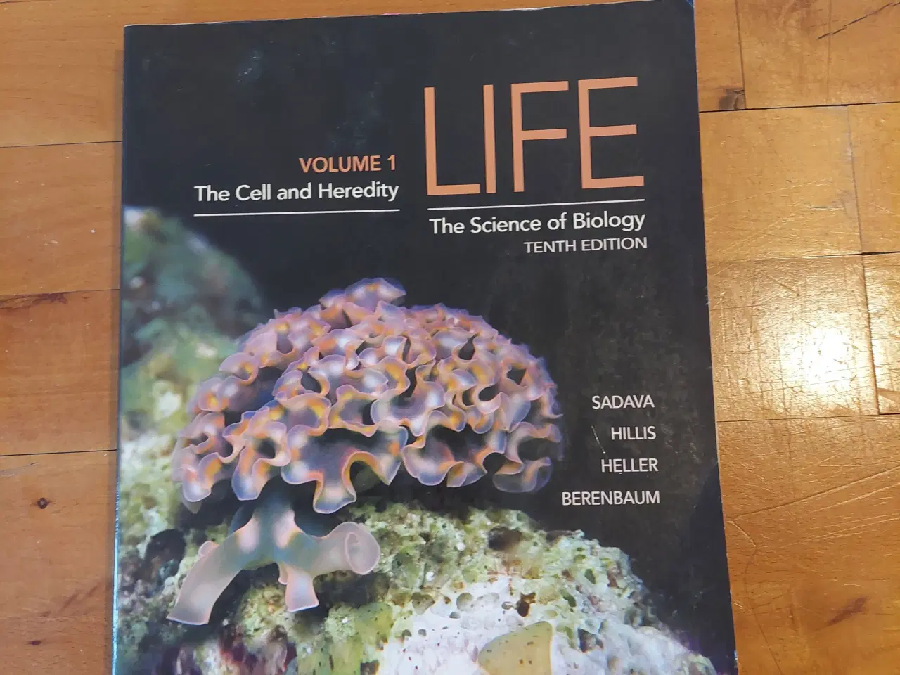 Billede 1 - LIFE: The Science of Biology, Vol. 1