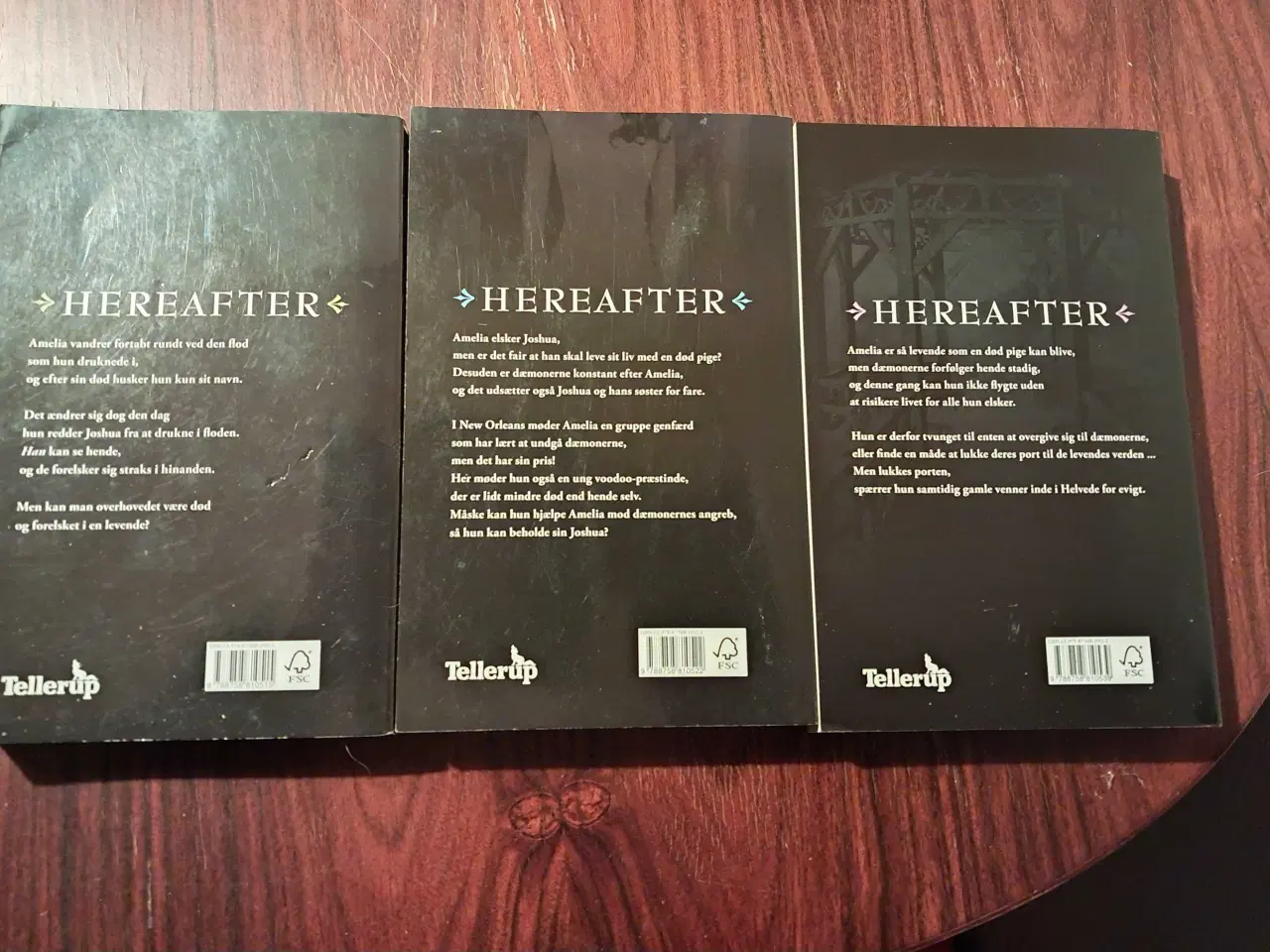 Billede 2 - Hereafter 1-3 book/bog