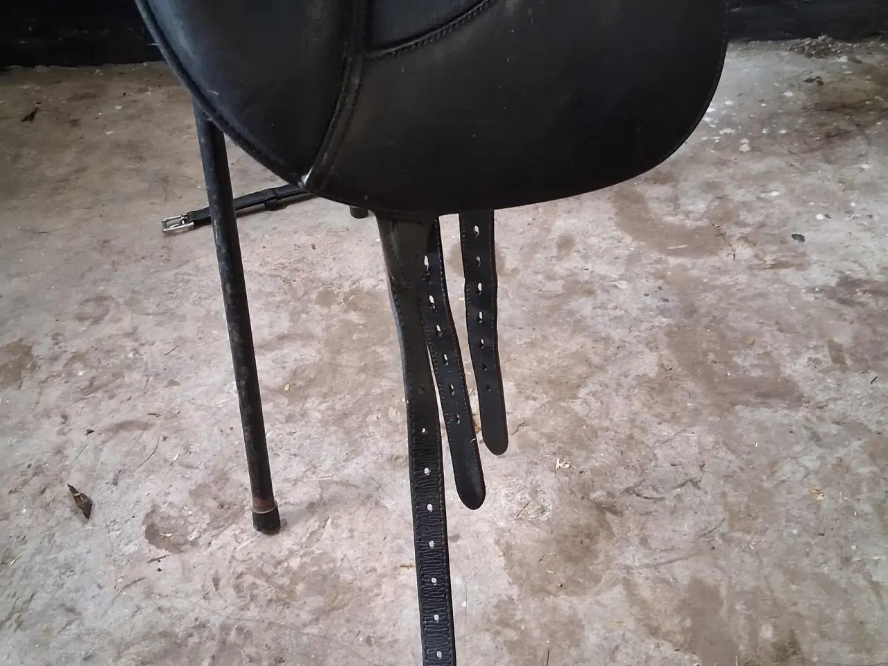 Billede 8 - Wintec isabell Werth med easy change