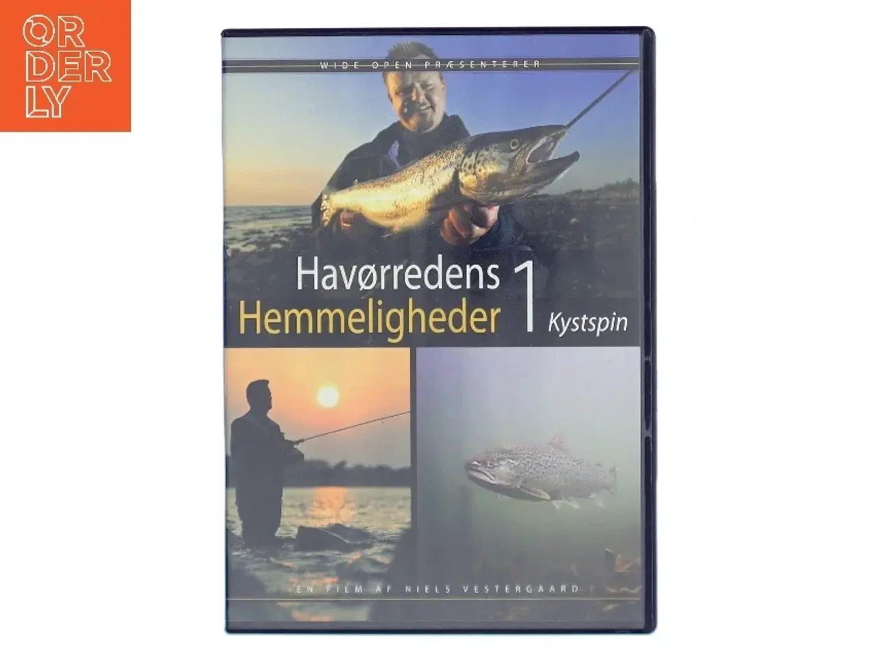Billede 1 - Havørredens Hemmeligheder 1: Kystspin med Thomas Hansen (DVD)