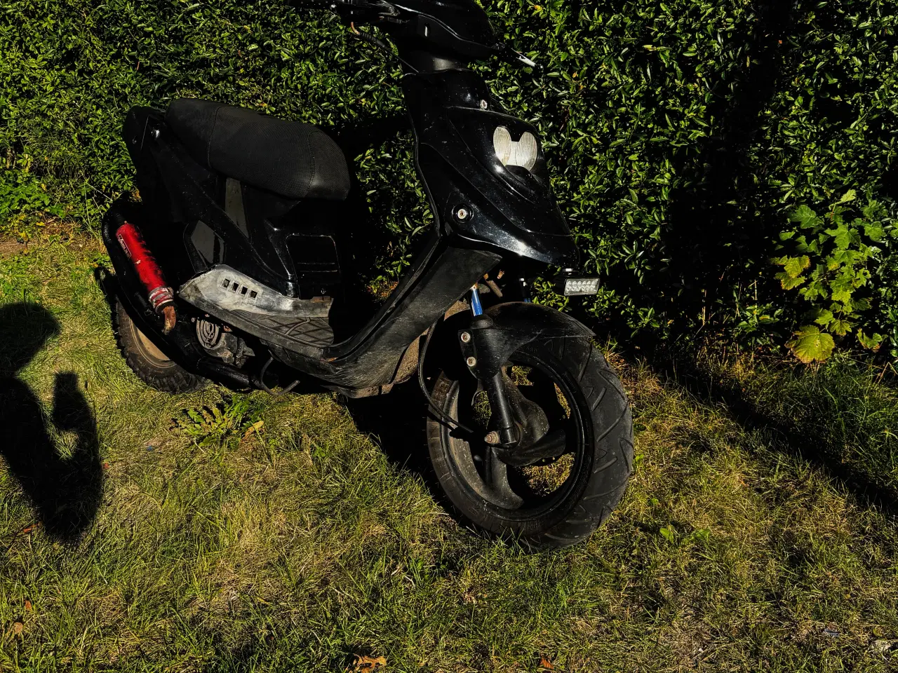 Billede 2 - fin pgo Hot 50