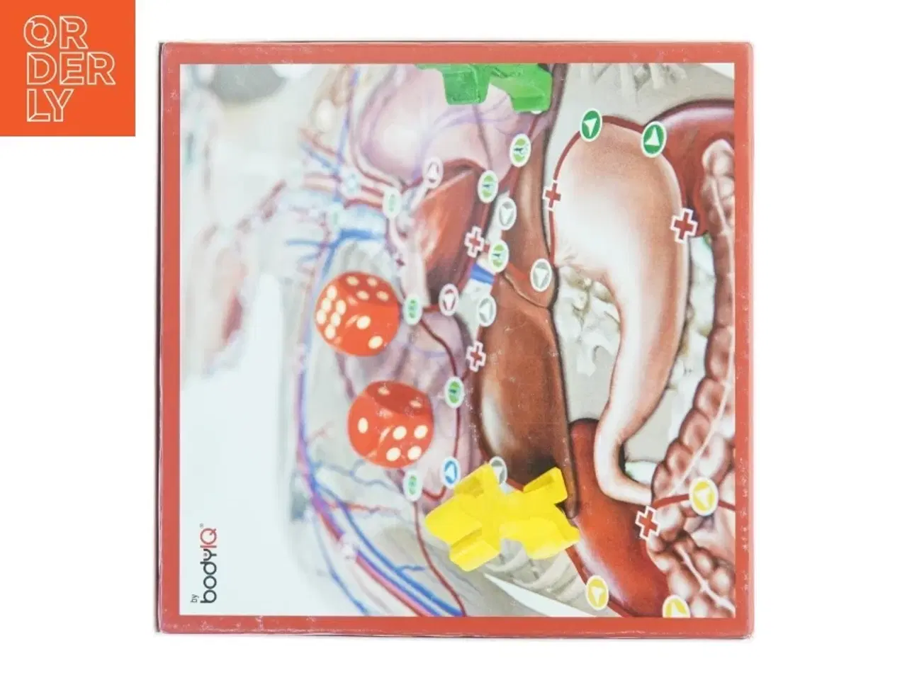 Billede 5 - BodyIQ Junior - brætspil (str. 26 x, 26 x 11 cm)