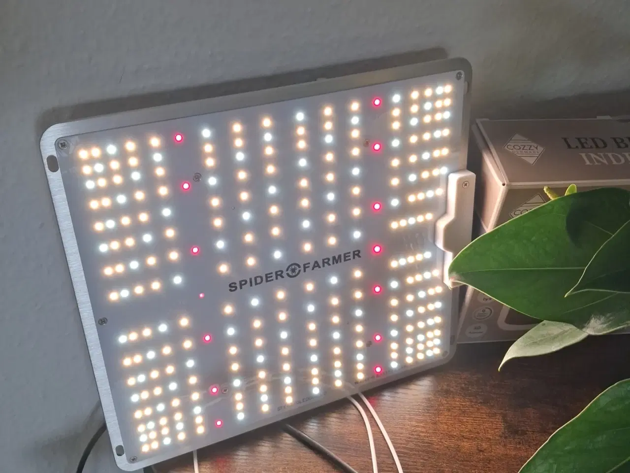 Billede 2 - Gro Lampe