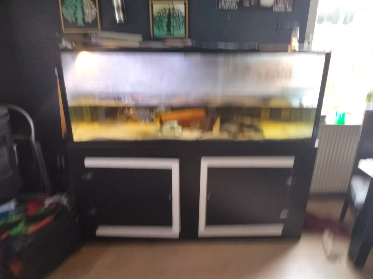 Billede 5 - 530 liters akvarie med alt 