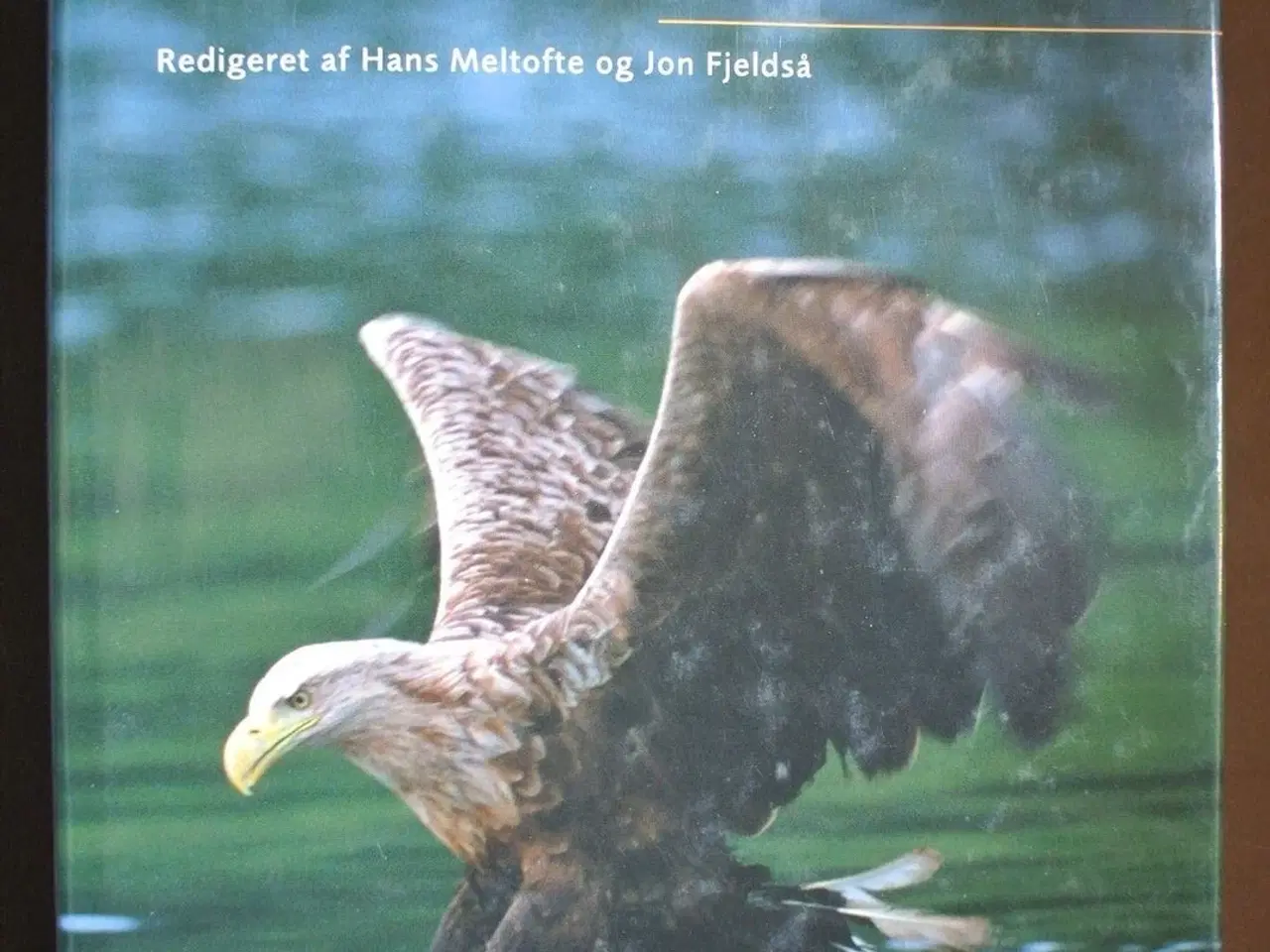 Billede 1 - fuglene i danmark, red. af hans meltofte og jon fj