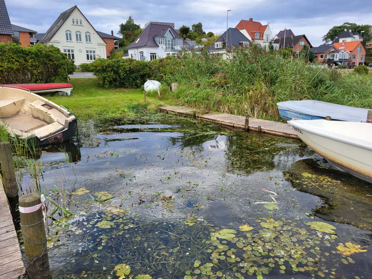 Billede 4 - bådplads