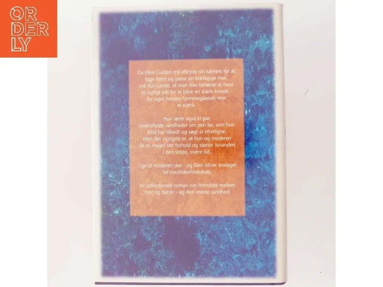 Billede 3 - Den Eneste Sandhed af Anna Quindlen (Bog)