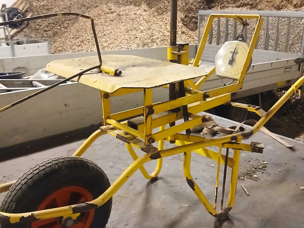 Billede 1 - Pyntegrønt s vægt