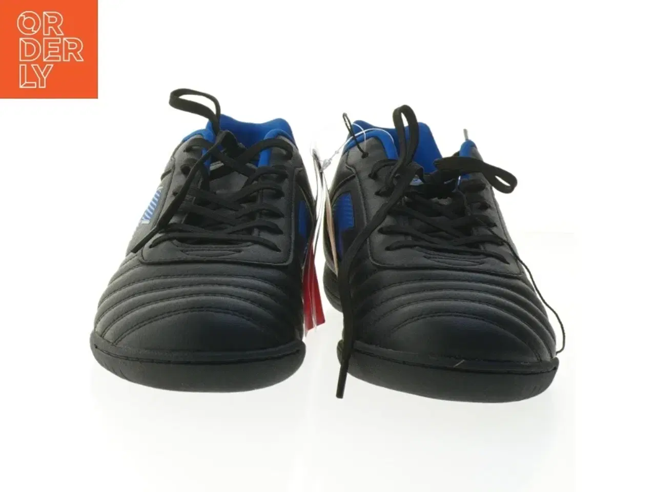 Billede 3 - Lotto indendørs sportssko (nye) fra Lotto (str. 42 )