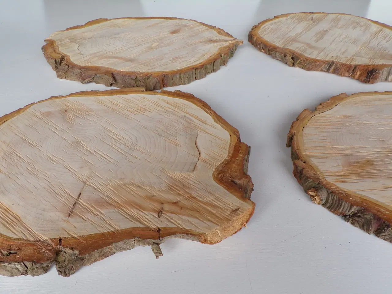 Billede 2 - Nye thuja træskiver 30 - 35 cm