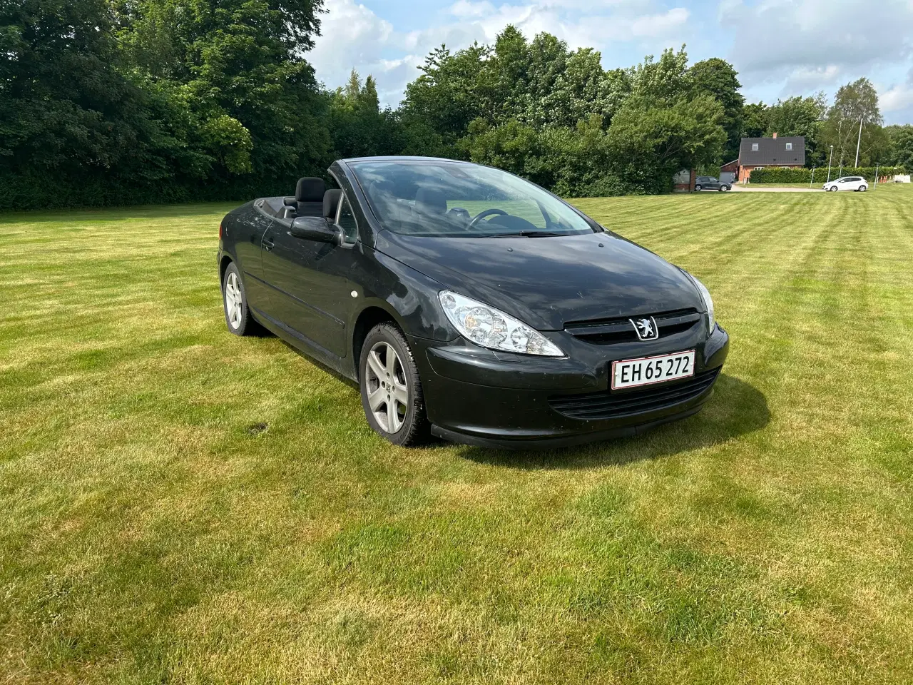 Billede 2 - Peugeot 307 cabriolet 