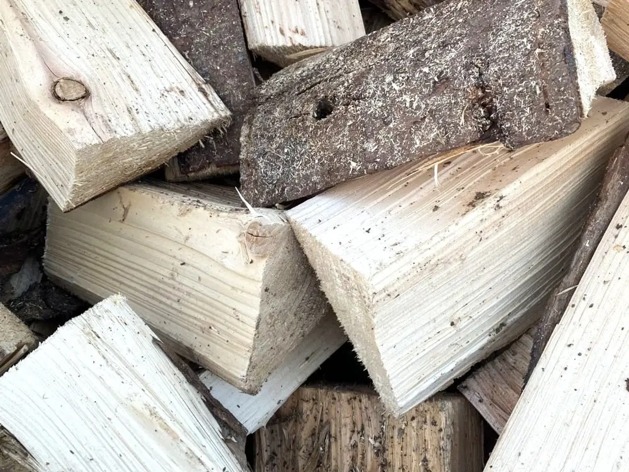 Billede 1 - Tørt nåletræ