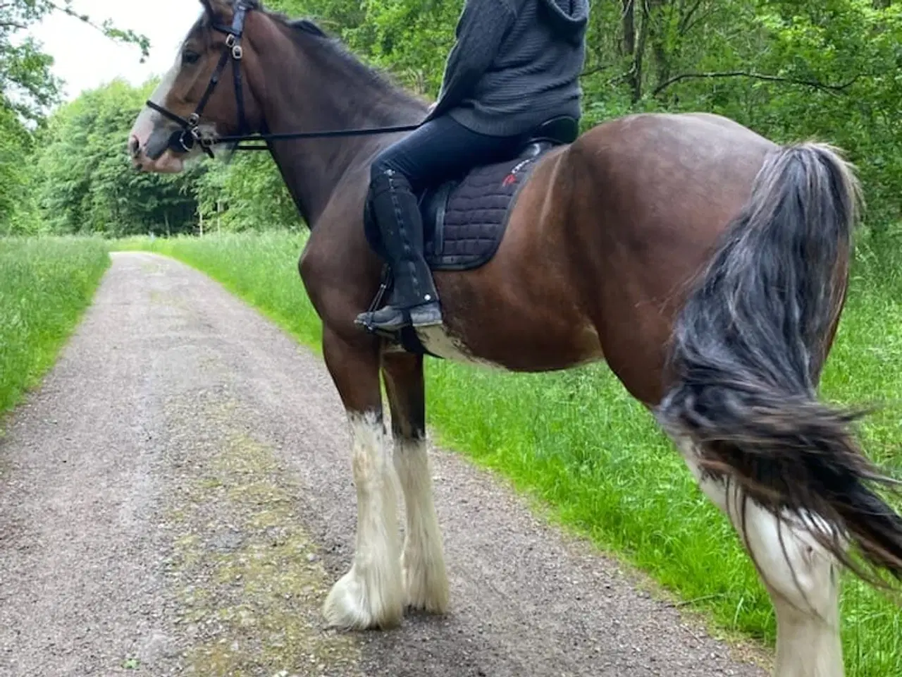 Billede 4 - Sjælden mulighed for at blive ejer af en CLYDESDAL