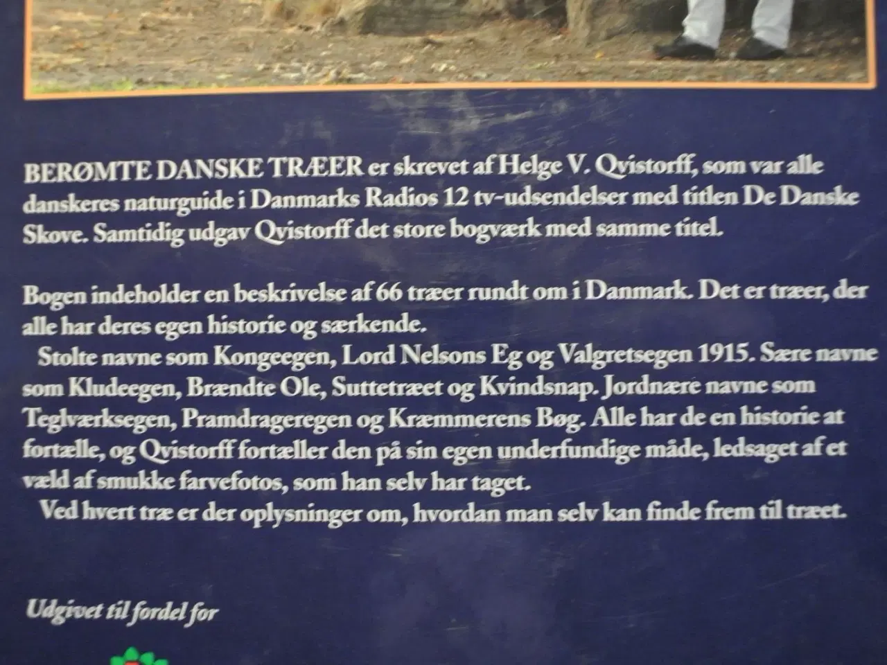 Billede 3 - berømte danske træer - 66 træer og deres historie,