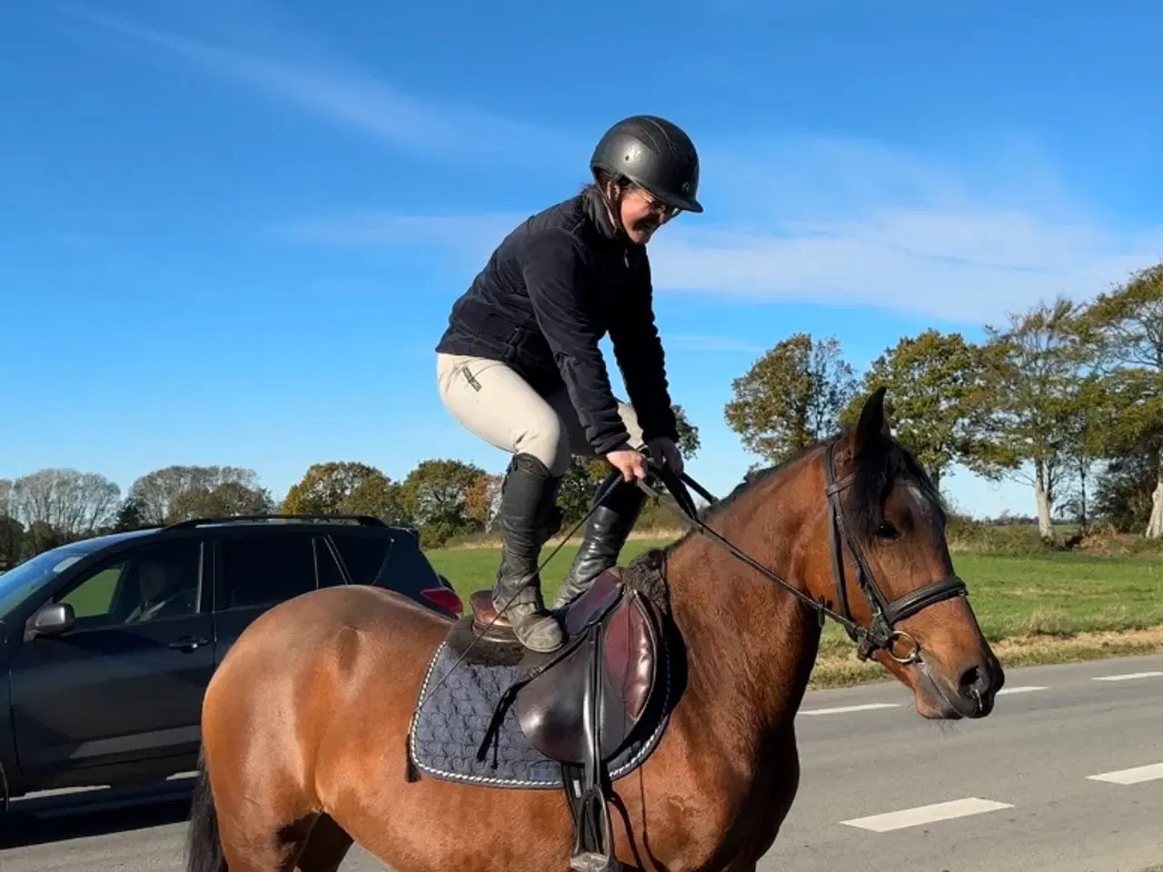 Billede 4 - Sød pony