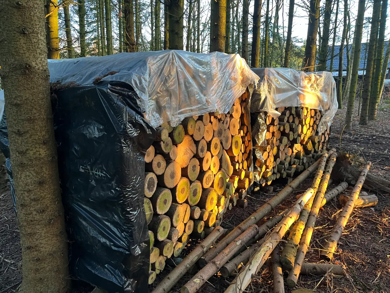 Billede 3 - brænde