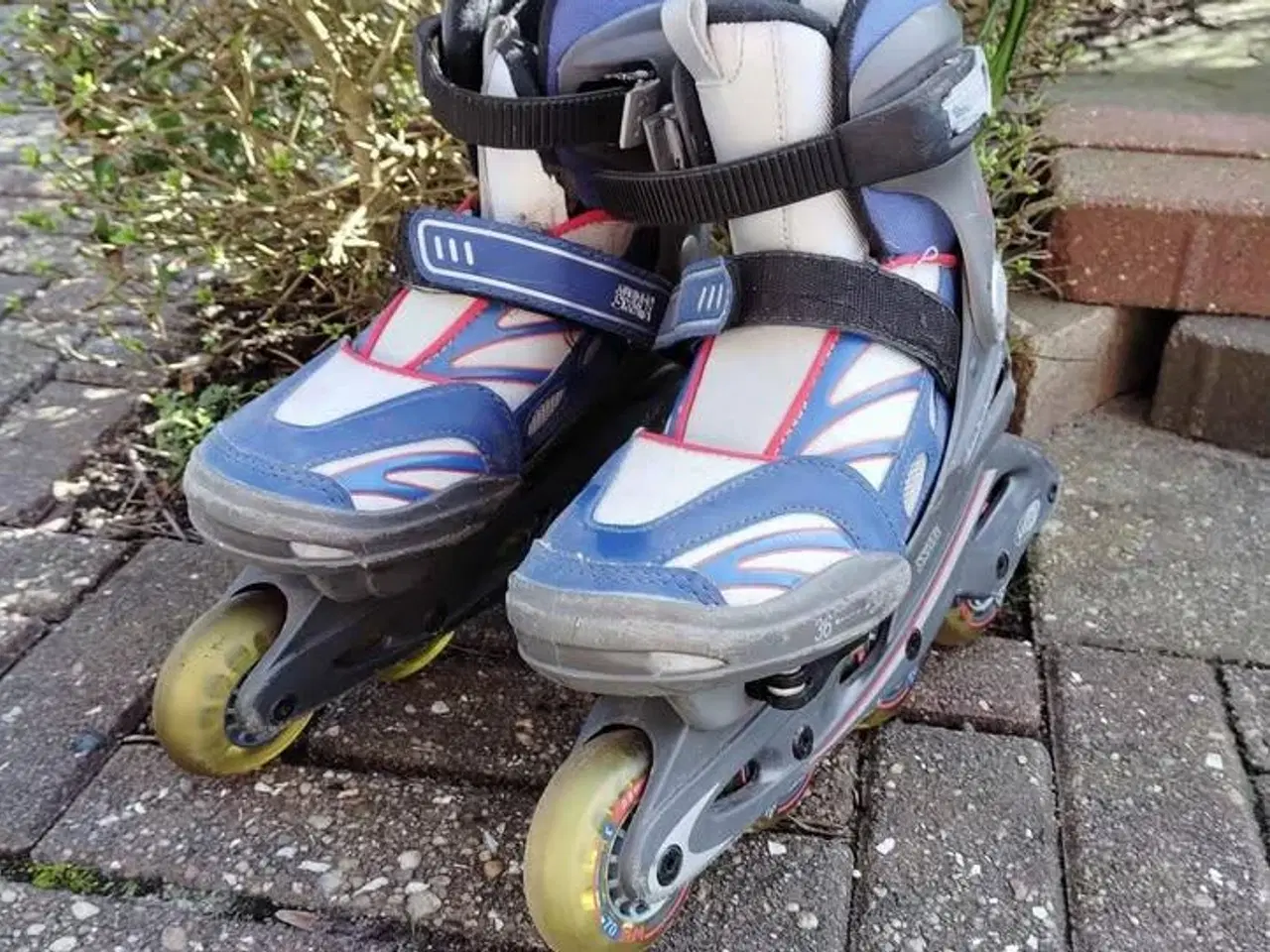 Billede 1 - Rulleskøjter Junior skate teenz