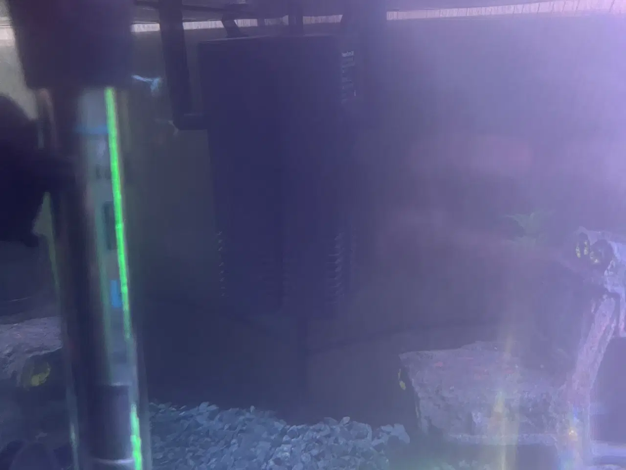 Billede 6 - Akvarie med evt fisk i