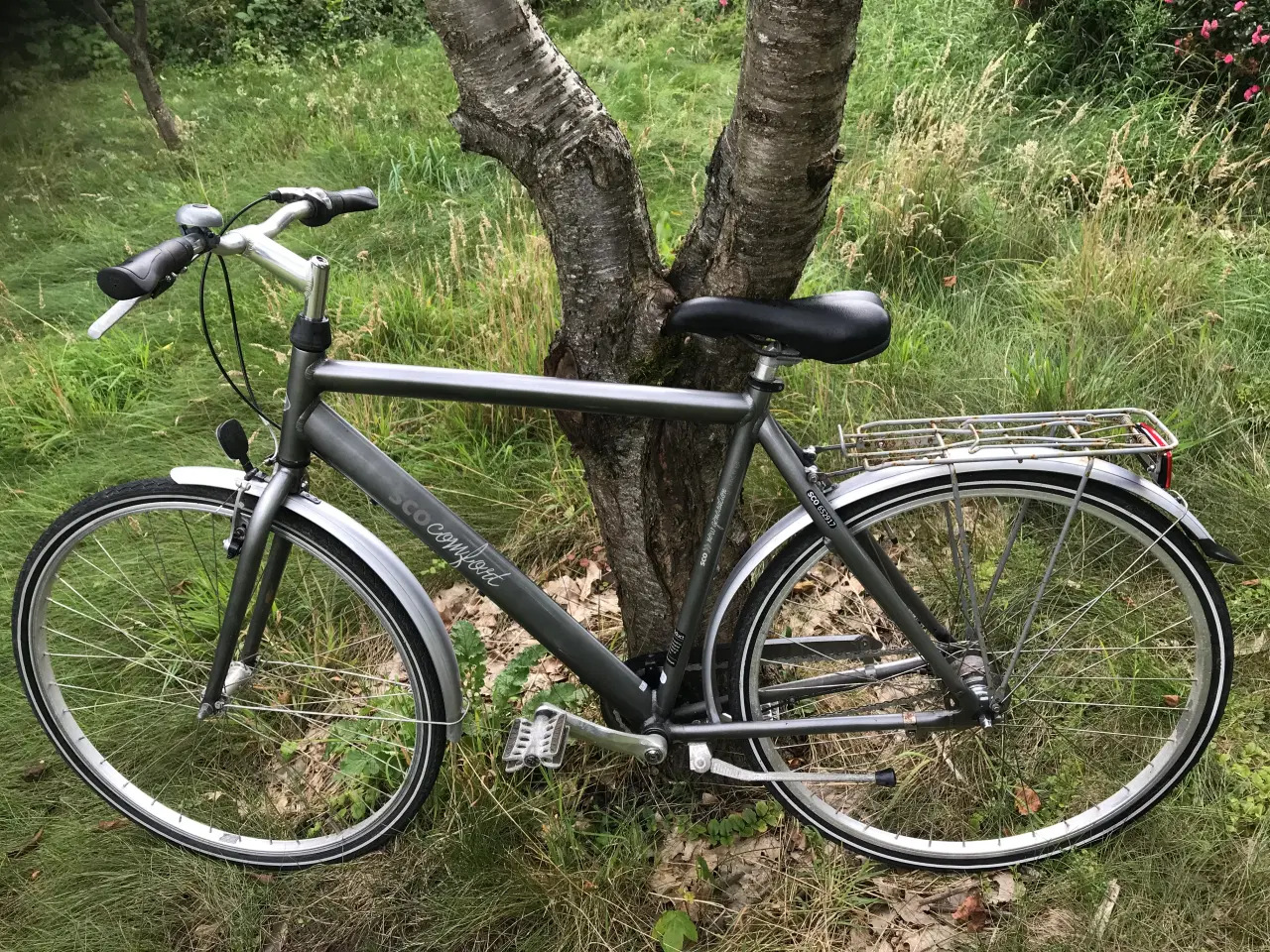 Billede 1 - Herrecykel SCO Comfort før 165-180cm