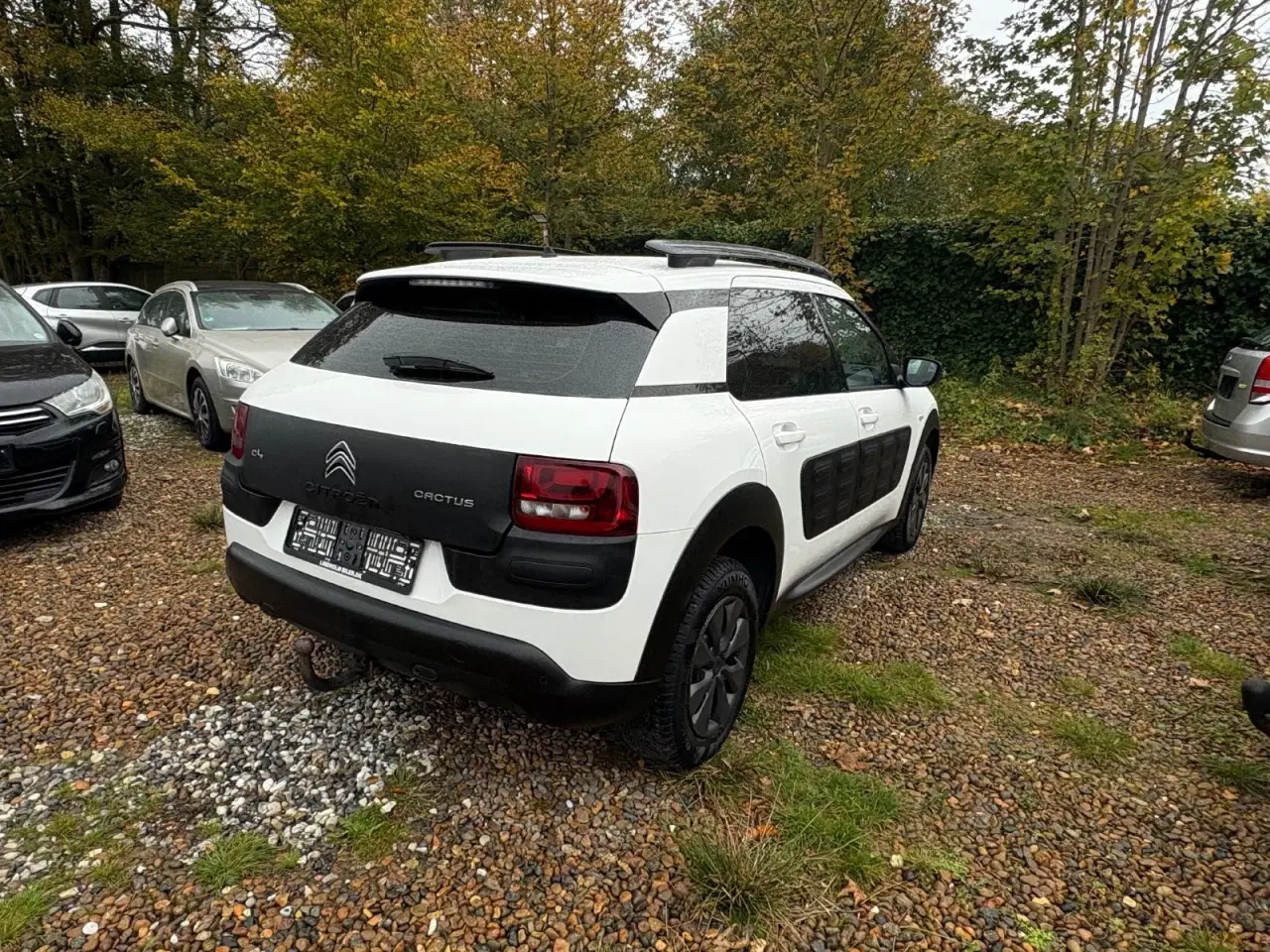 Billede 3 - Citroën C4 Cactus 1,6 BlueHDi 100 Feel Free