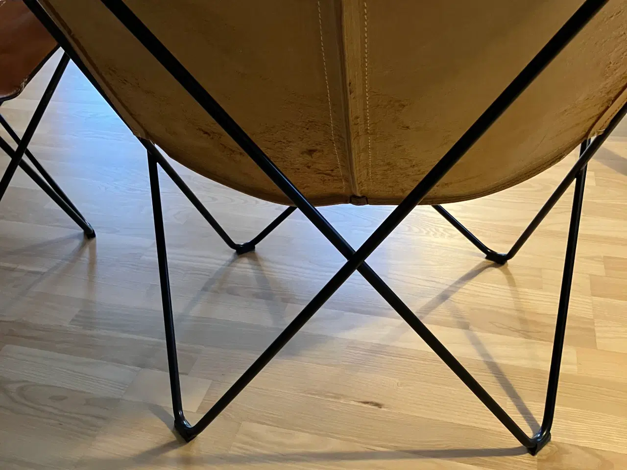 Billede 4 - Flagermusstole 