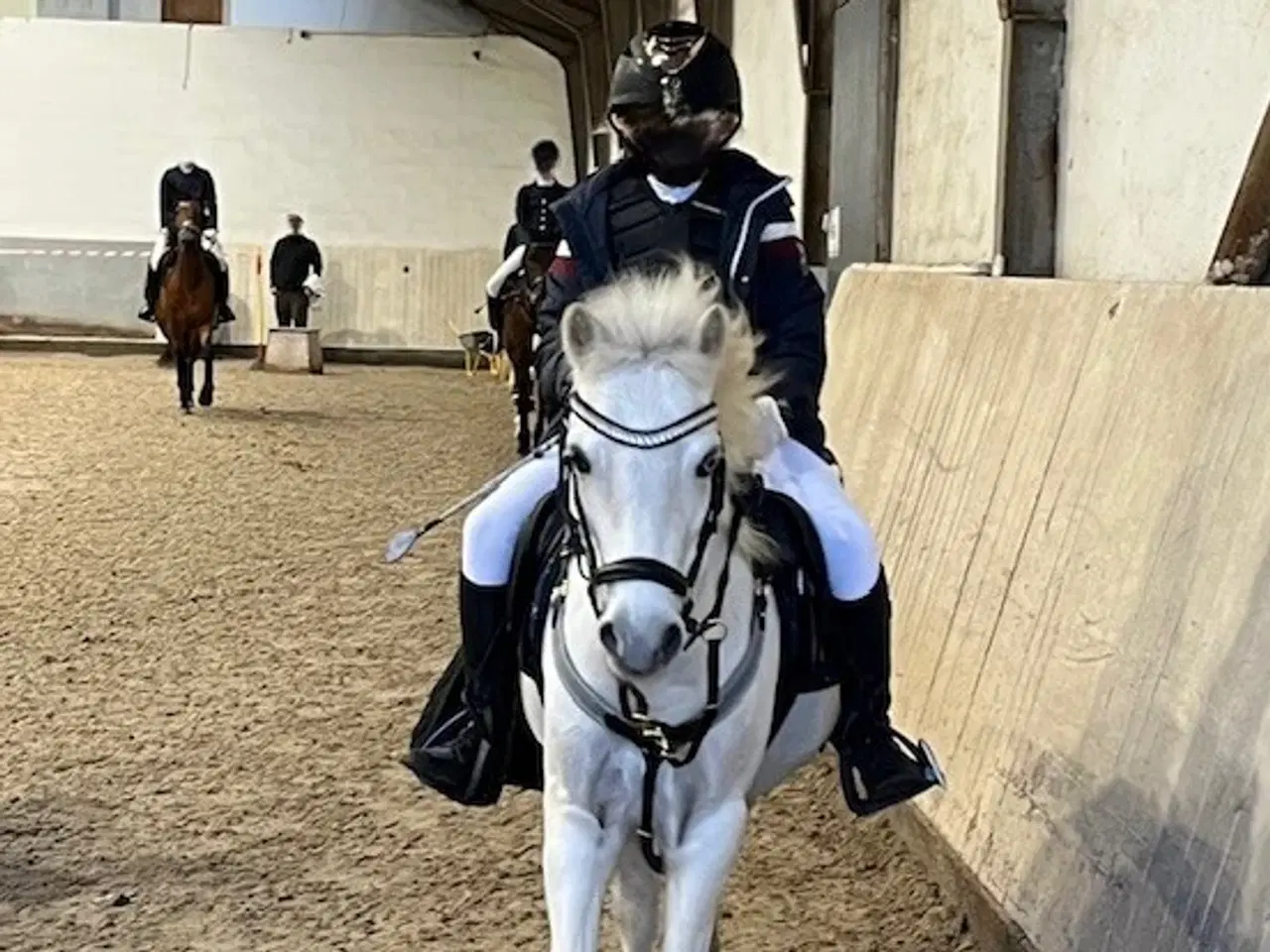 Billede 3 - Charmerende børnepony med stor personlighed