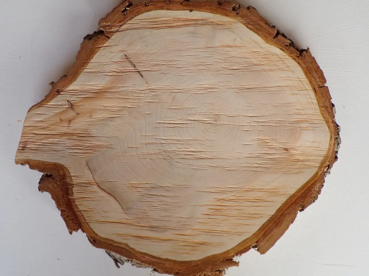 Billede 2 - NY Thuja Træskive med bark 32,5 cm lang