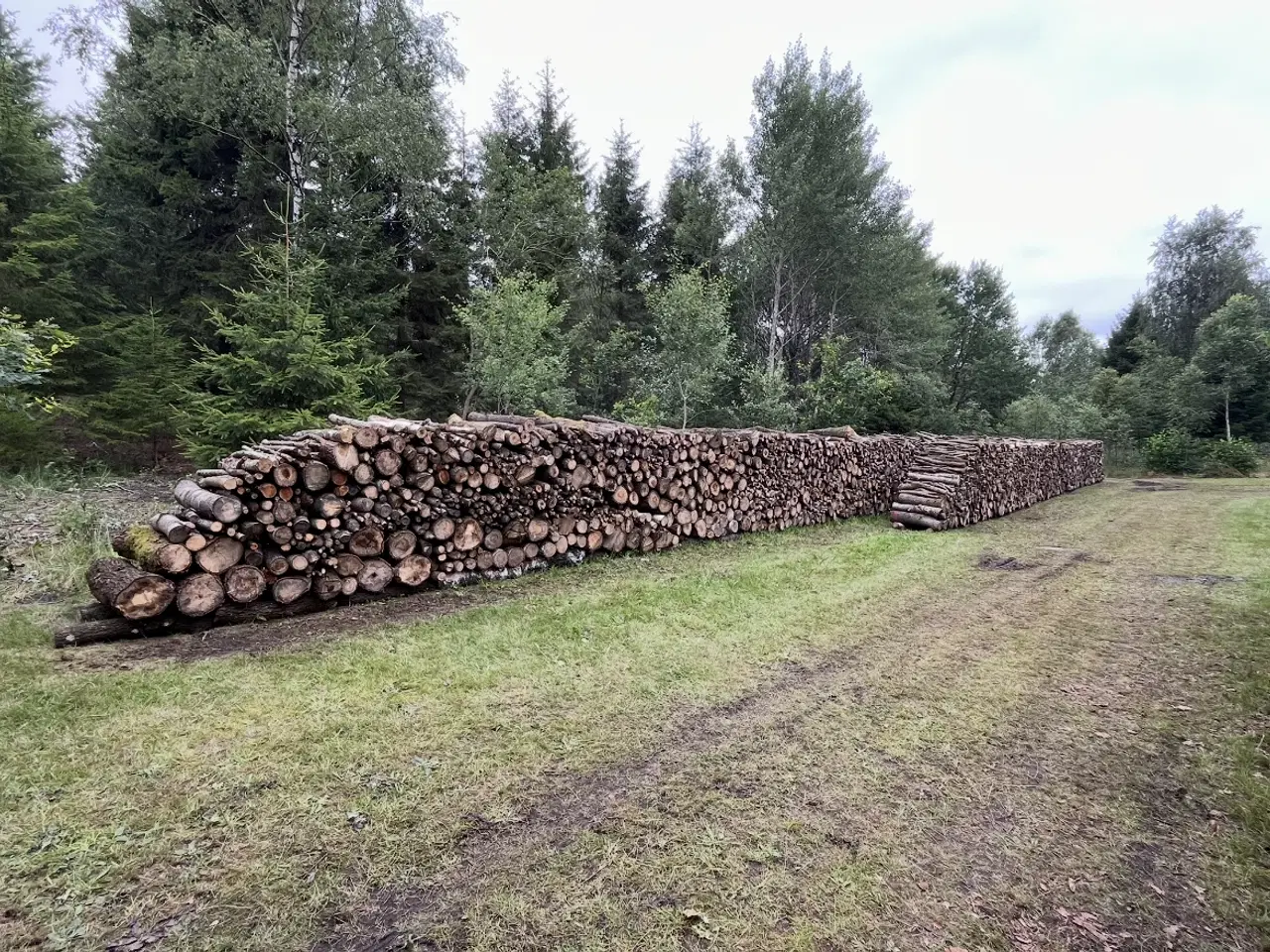 Billede 2 - 20 skovrummeter løvtræ inkl. levering
