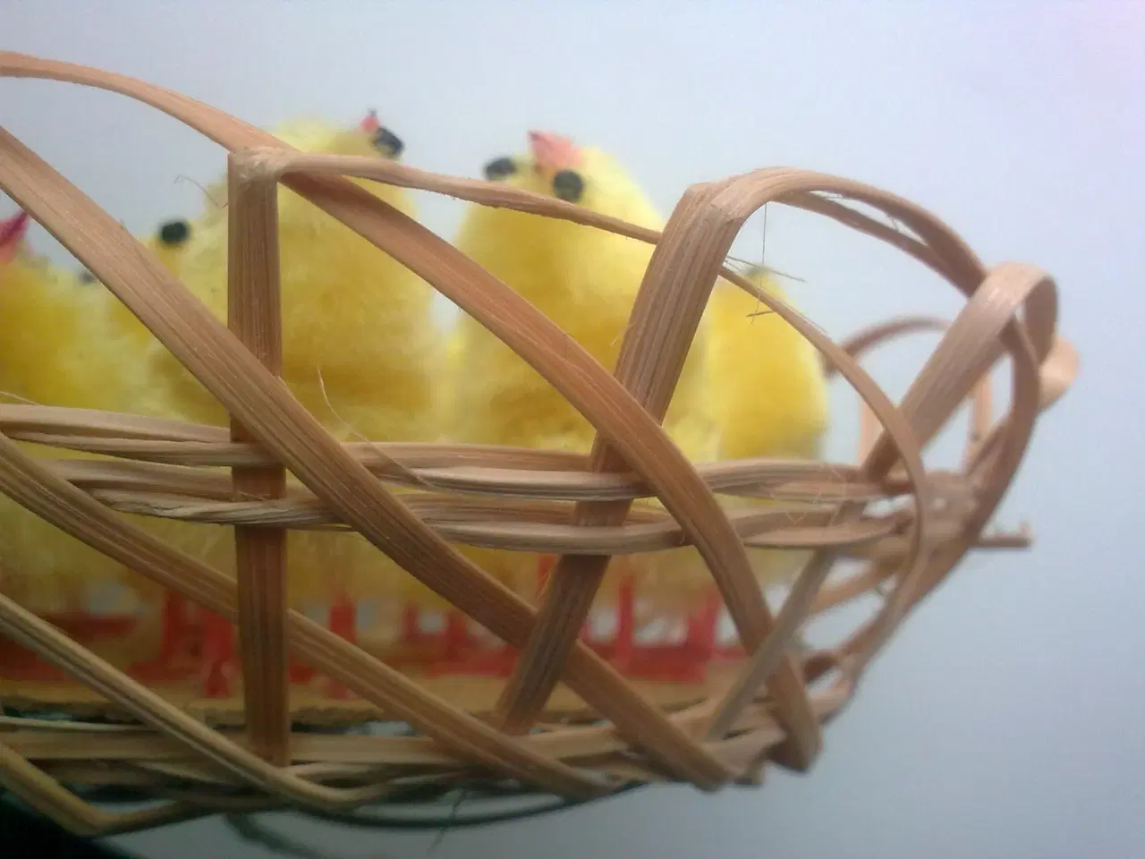 Billede 19 - Tulipan krukke & 12 uden kategori m ÆG nuancer