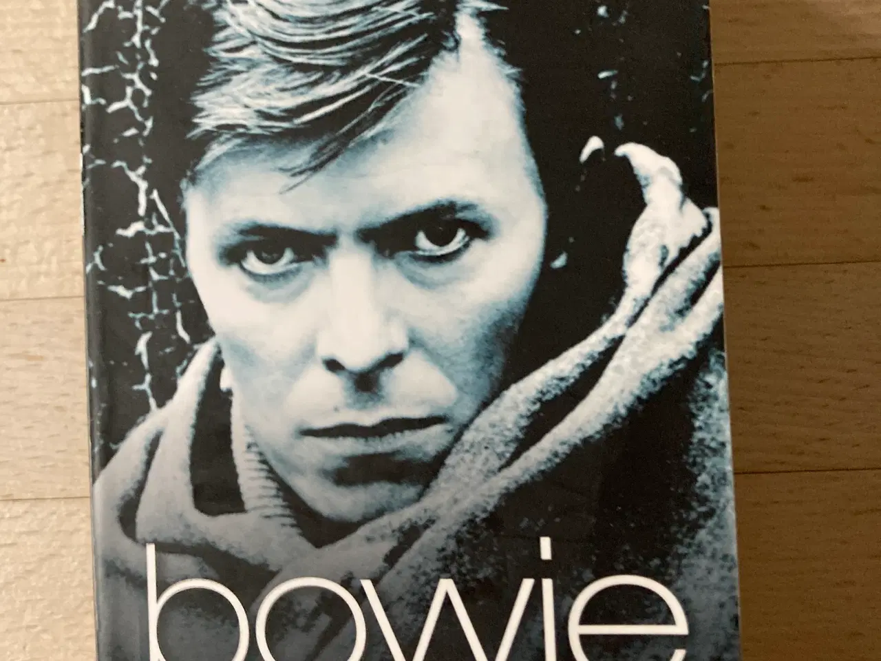 Billede 1 - Bowie en biografi, Marc Spitz