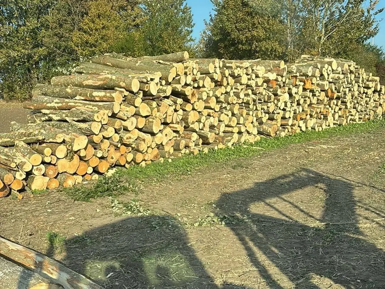 Billede 4 - Brænde i 3 m stykker