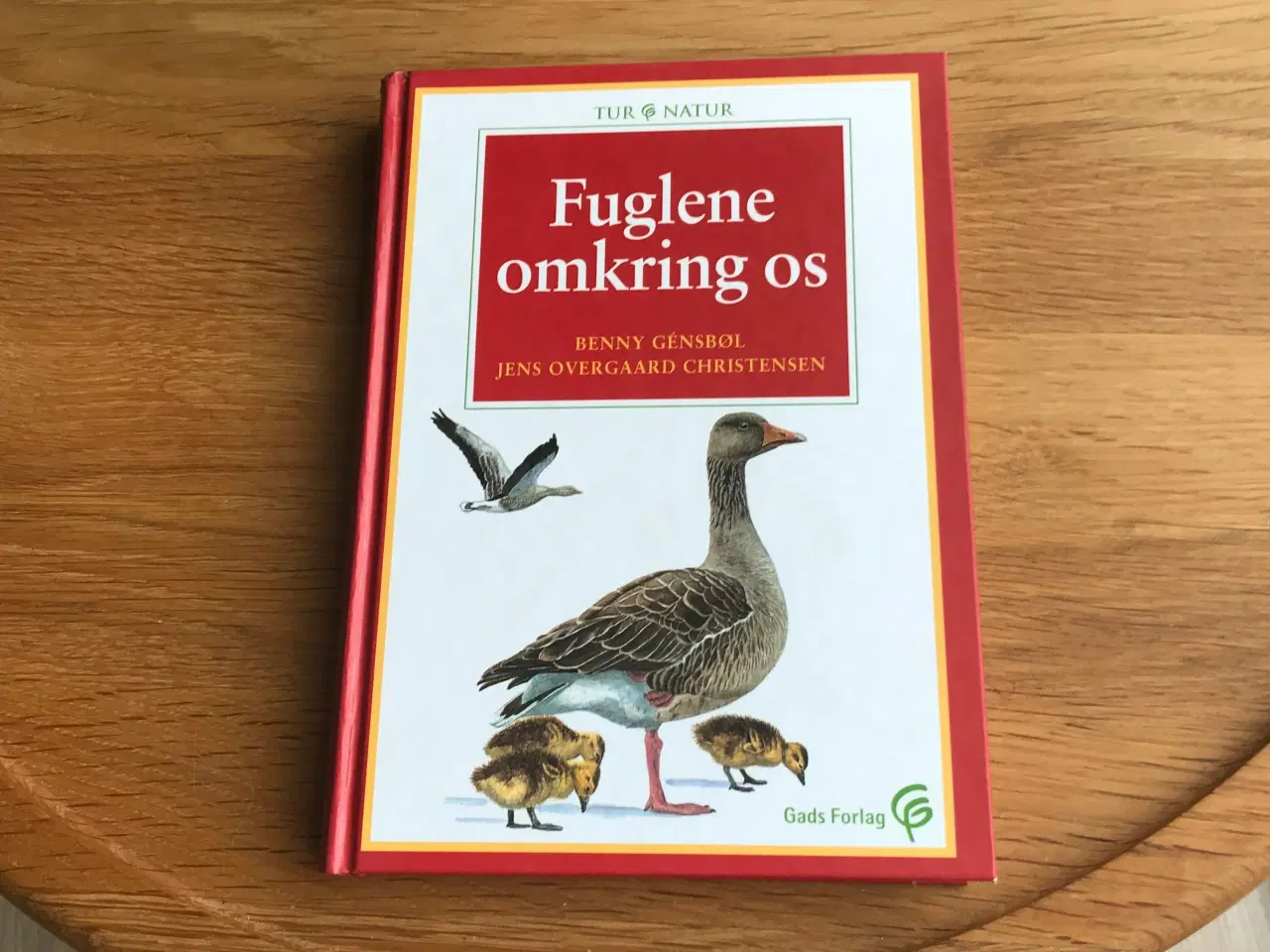 Billede 1 - Fuglene omkring os   -  Tur/Natur