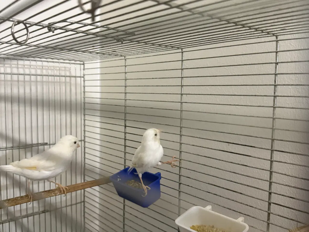 Billede 4 - Beskrivelse af varen