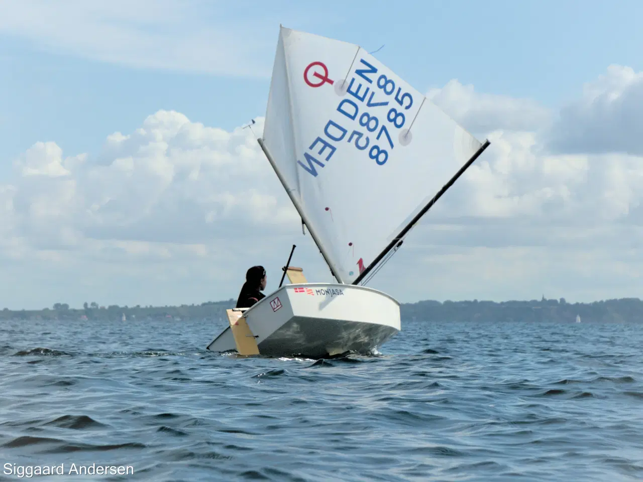 Billede 6 - 2024 Winner Optimistjolle DEN 8785 DenMark 3D STAR