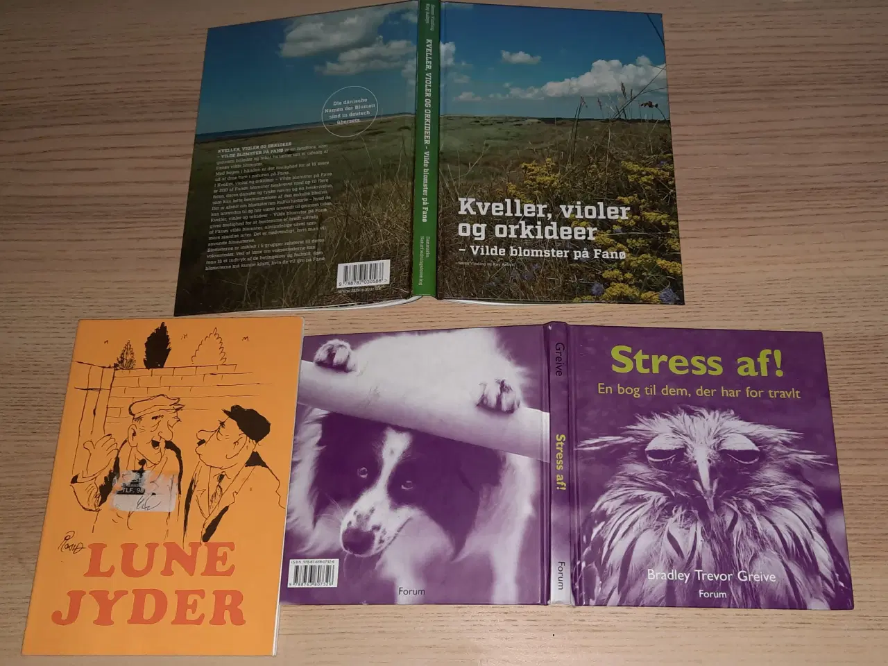 Billede 18 - Internet for alle