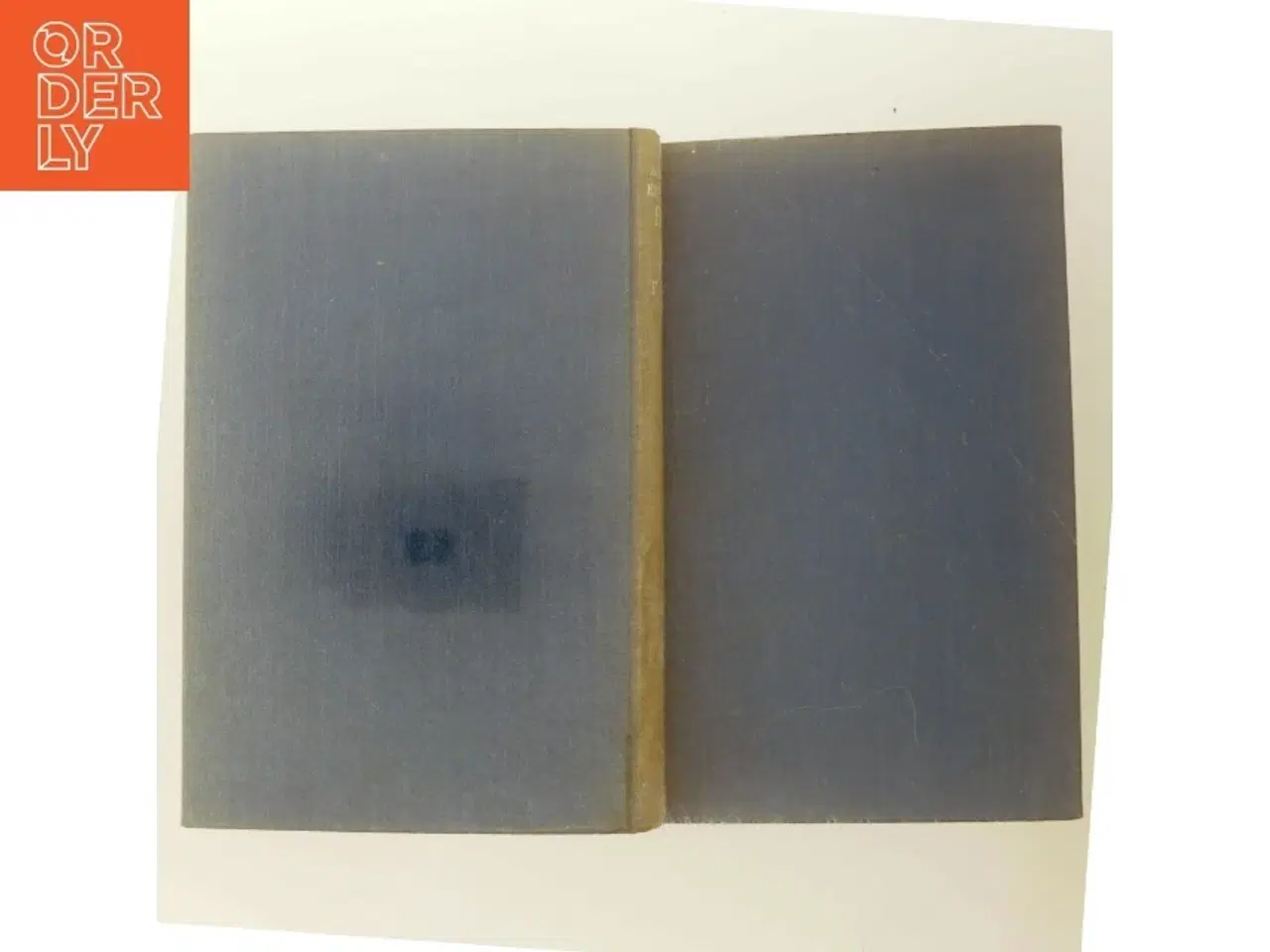 Billede 5 - A Pretty Kettle of Fish