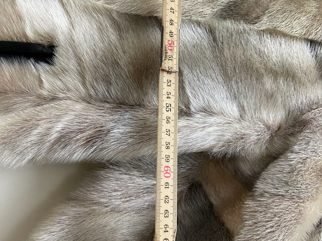 Billede 17 - Sælskinds pæls