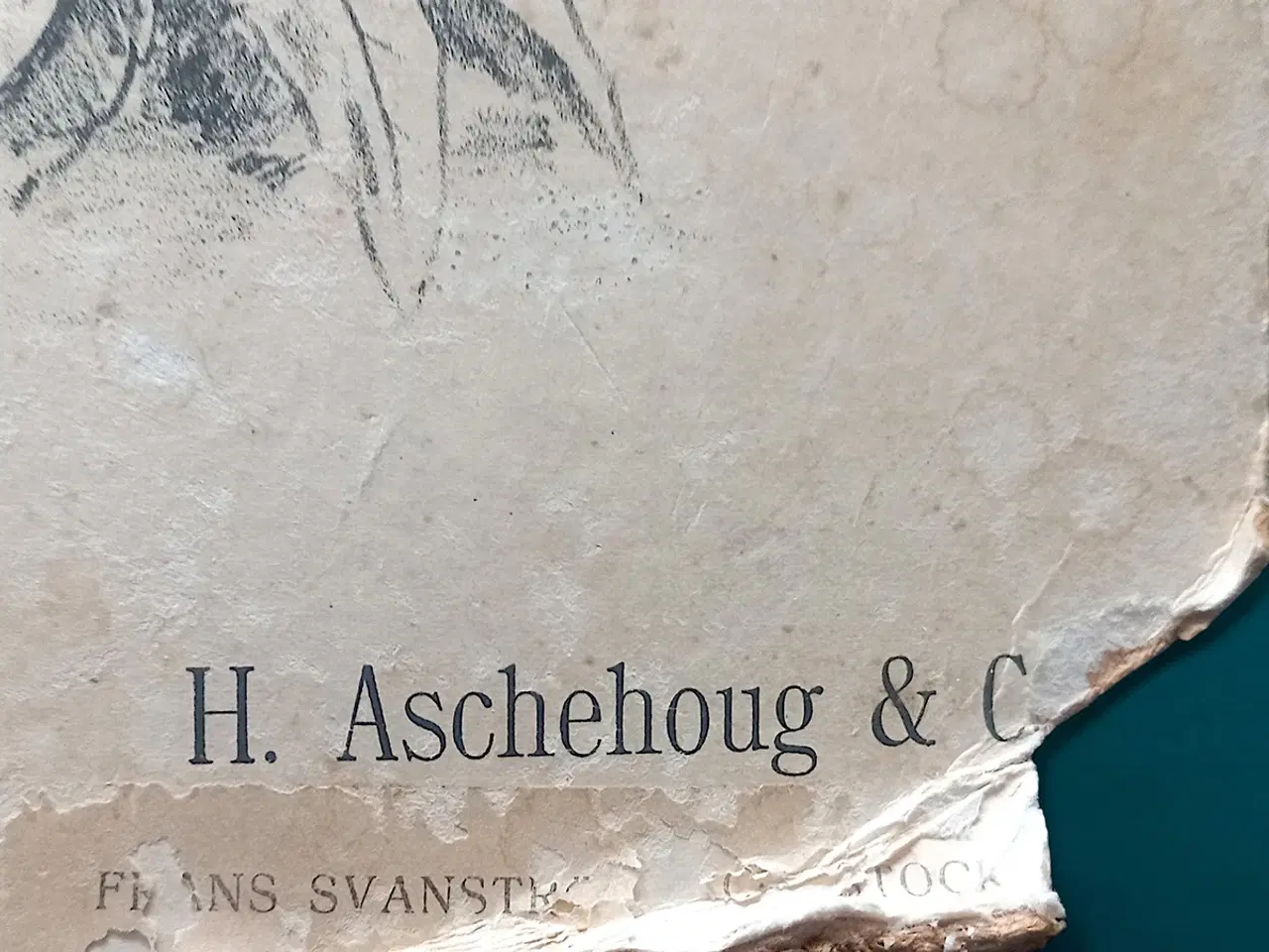 Billede 4 - Antik skoleplanche padder Dybdahl Pl.45