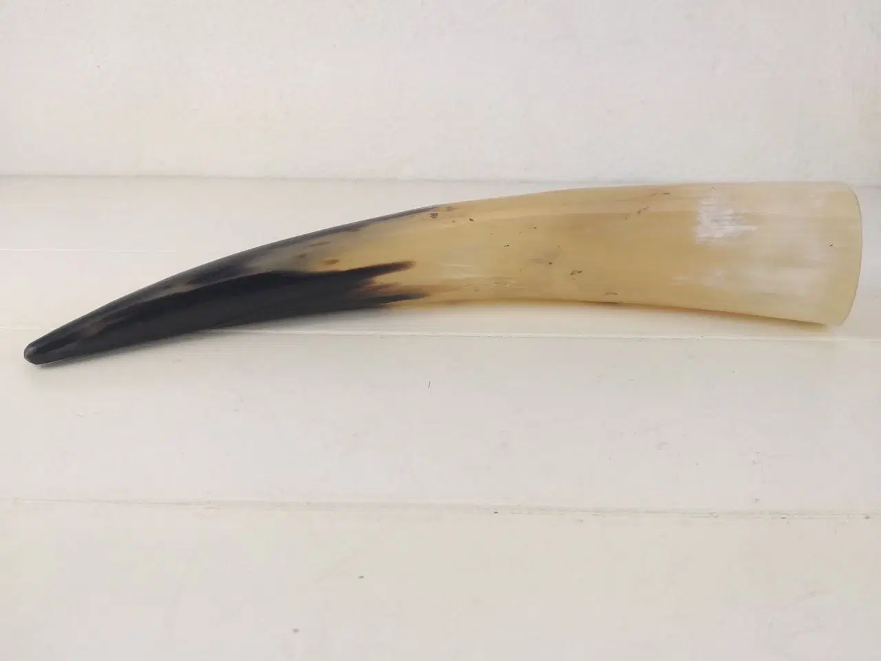 Billede 1 - Flot horn