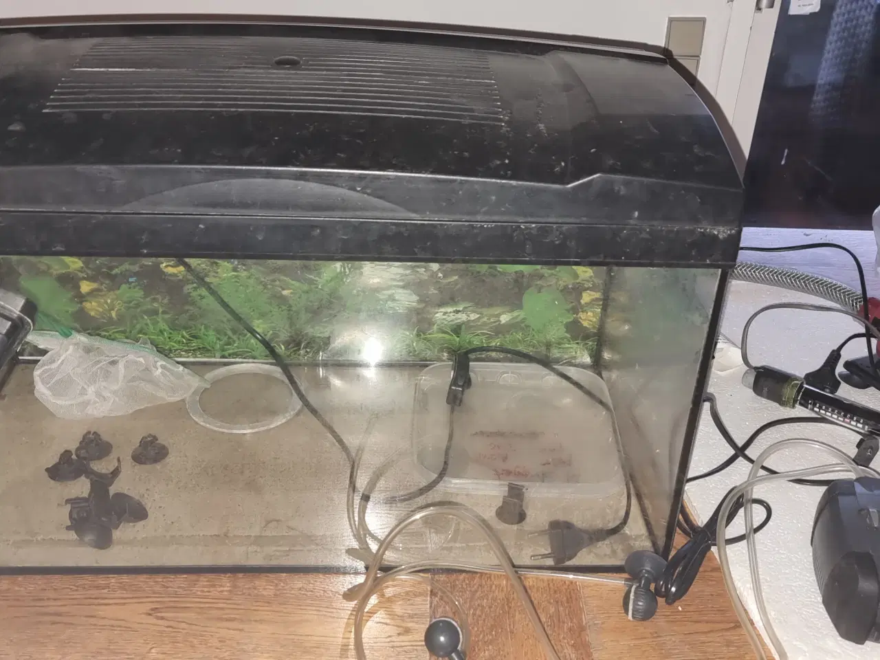 Billede 1 - Akvarium 50 liter byd