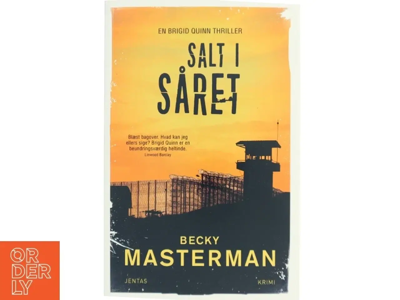 Billede 1 - Salt i såret af Becky Masterman (Bog)